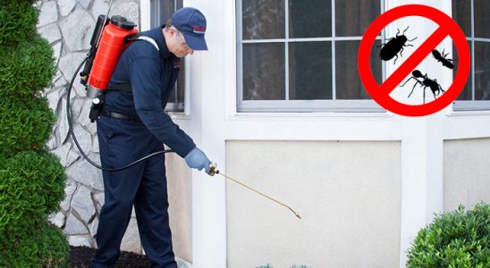 Kartal Böcek İlaçlama böcek ilaçlama ve haşere kontrolü — ilaclama-tr.com